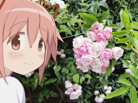 hufube's Avatar