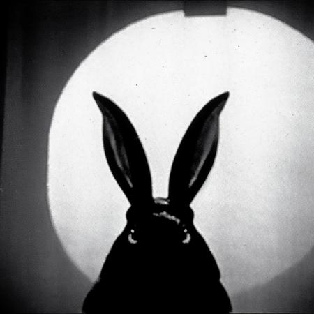 a silhouette of the black rabbit of inle, watership down, death spirit, rabbit, stylized. Movie still Metropolis_e,