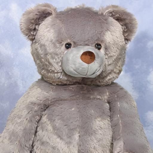 Teddy Bear (plush toy) image by Talboc