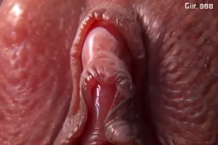 Mite (Look at [my]) Clit