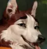 MorningNix's Avatar