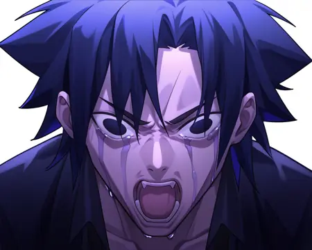 切嗣哭 Kiritsugu cries meme