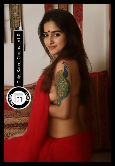 Only Saree Chroma by Sarcastic TOFU