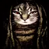 JamsterDance's Avatar