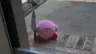 sigmasaturn's Avatar