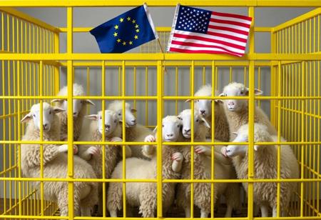 Inside a large, bright yellow cage, several anthropomorphic sheep are standing and interacting with each other. The sheep have human-like features, such as expressive faces and hands, while still retaining their wooly texture and sheep-like bodies. Above the cage, European Union and USA flags are placed on top, waving slightly as if caught by a breeze. The setting feels symbolic and slightly surreal, with the contrast between the lively sheep and the rigid cage.