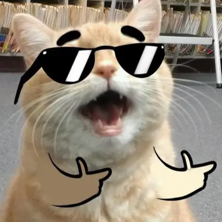 llxkatz's Avatar