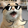 llxkatz