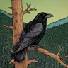 NearlyCivil's Avatar