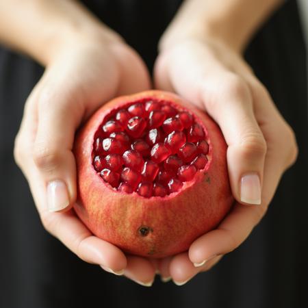 pomegranate fruit v1.0
