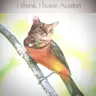 Catte23456's Avatar