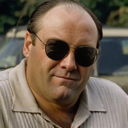 a picture of TonySoprano wearing sunglasses, <lora:TonySoprano:1>