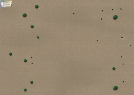 a map of a desert with a few rocks, <lora:Wild3-10:0.80>