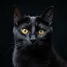 SwampySprout's Avatar