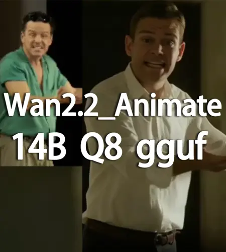 Wan2_2_Animate_14B_Q8_0.gguf | KiJai