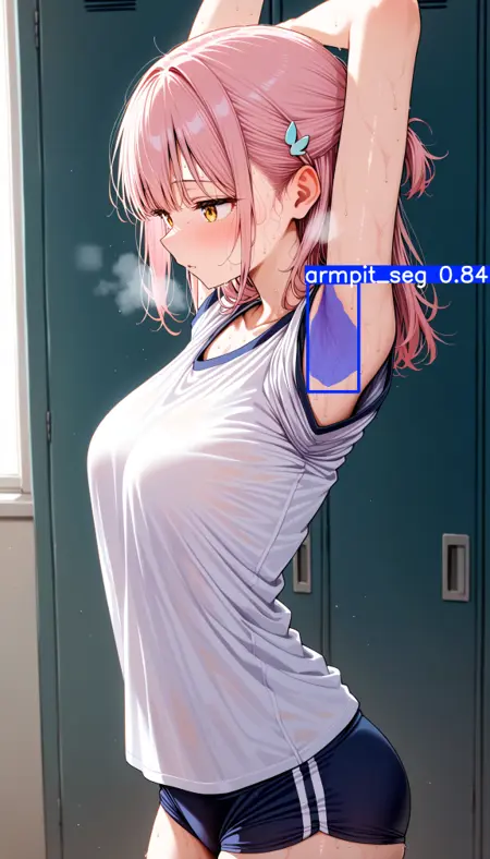 ADetailer 2d armpit yolov8 [bbox + segmentation]