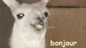 Potaters's Avatar
