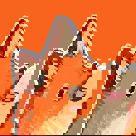 freckledvixon's Avatar