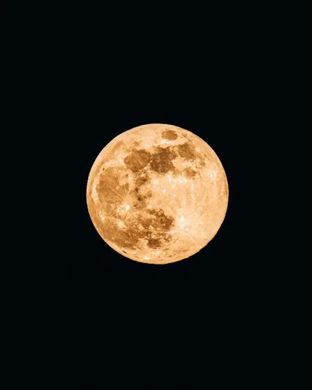 supup's Avatar
