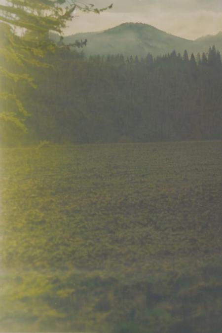 RA4_FujiCrystal, instagram photo. a foggy mountain, lord of the ring style, soft shadows, film grain