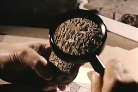Midcentury 16mm Museological Documentary V1