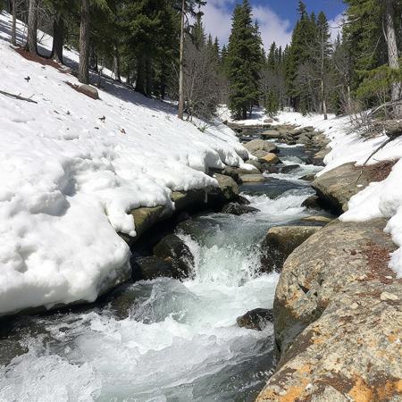 Spring melt, melting snow creates rapids down past the timberline, submerging half a foot of the trunks of evergreens, splashing off the rocks on the way down, 45 degree slope, birds take to the air, sunny, few clouds