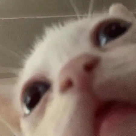 Pumzelkip's Avatar