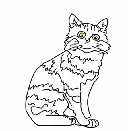 sticklora