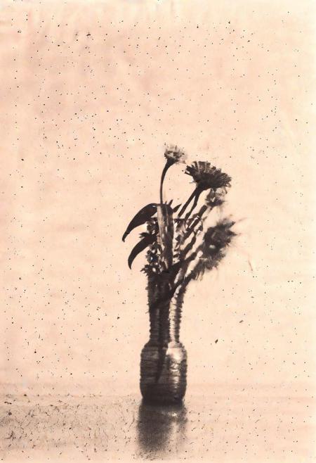 lith_orwo_dokumentenpapier_D, instagram photo,a bottle with a flower, hard shadows, film grain