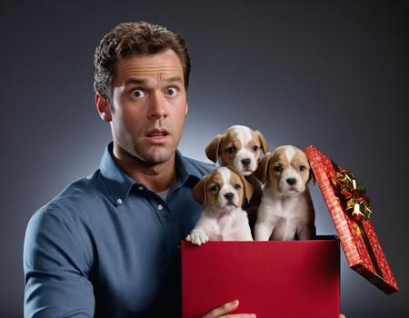 high quality cgi, man with dumbfounded expression, funny, high detailed BREAK
many puppies climbing out of (open:1.2) christmas gift box