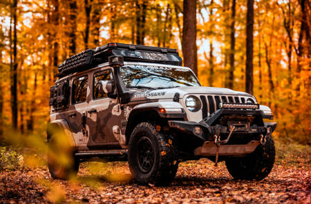 jeep-forest-2.jpg