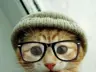 Kartoy's Avatar
