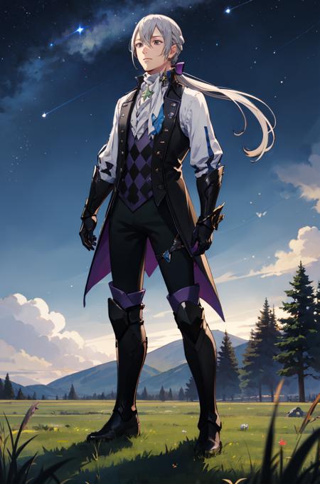 highest quality, grass, field, night sky, stars, 1boy, standing, looking up, from side, arms at sides, <lora:JakobFE:0.85> defJakob, low ponytail, gloves, boots