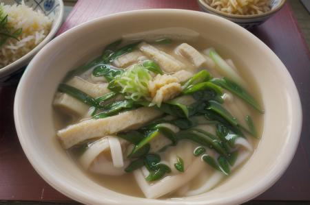 kizamikitsuneudon, noodles, bowl, food focus, food, realistic, still life, spring onion, soup, vegetable