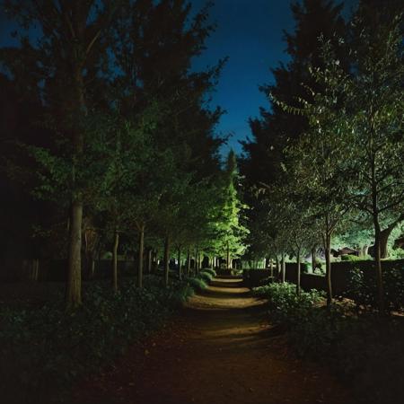 highly detailed and hyper realistic photo, by nan goldin, , vibrant colors, faded, atmospheric haze, highly dramatic cinematic lighting, motion blur, film grain,  professional, excellent composition, finest details, maximized details, ultimate detail level, masterpiece, best quality, ISO 300, 1/250s, F/2,8, 38 mm, extremely high quality RAW photograph, 4k, sharp focus, high resolution, 8k UHD, DSLR, high quality, film grain, Fujifilm XT3,(lots of trees),(apple tress:1),forest,(night),no light ,(dark)
