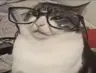 AIstreamers's Avatar