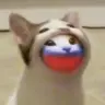 totorus16's Avatar