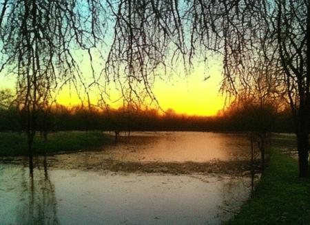 photo by oldsiemens,( summer:1.2) park with( sunset on background:1.2)