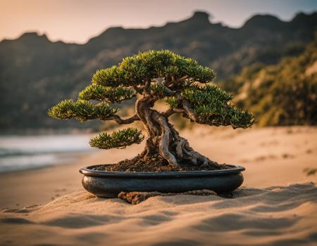 cool bonsai