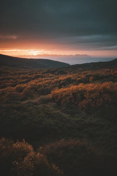 raw photo, a sunset landscape, Valdivian temperate forests, Chilean forest,  cozy, photorealistic, high detailed texture, 8k uhd, dslr, soft lighting, high quality, film grain, Fujifilm XT3, Sony A7 IV, highly detailed photography, (muted colors, cinematic, dim colors, soothing tones:1.2), vibrant, insanely detailed, hyperdetailed, (dark shot:1.2), (vsco:0.3), (intricate details:0.9), (hdr, hyperdetailed:1.2) (highest coherency: 1.39) (highest quality: 1.39) (rule of Thirds) (award winning) (breathtaking) (masterclass) (vibrant color: 0.79) (raining)
