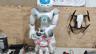 roboticsco18