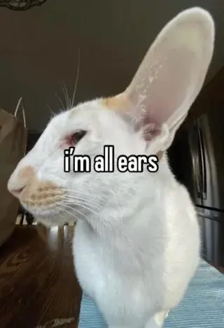 Reichessa's Avatar