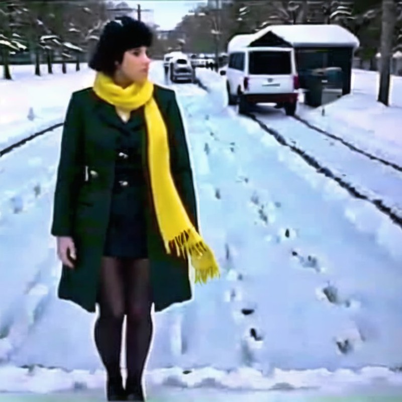 <lora:VHS3:1.0> , VHS, VHS footage of, distortion,  [glitch], black legwear, coat, pantyhose, scarf, snow