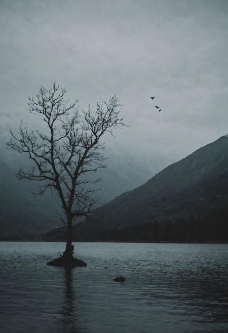 lake,tree, bird, mountains afar,dark atmosphere,  slow motion,  dark, horror, moody  melancholic,