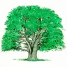 se884655551's Avatar