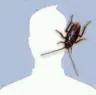 andreanvee1's Avatar