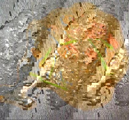 dog vomit V1