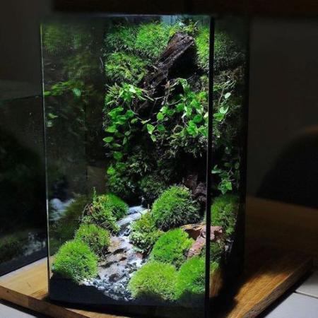 terarium