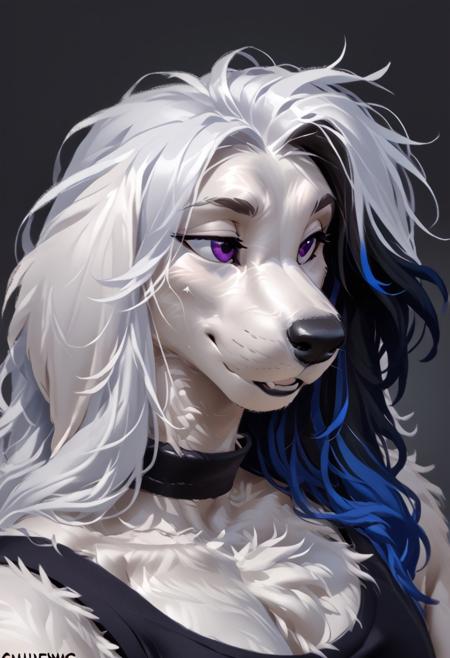 Afghan Hound for PonyXL V1