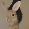 backdooroven's Avatar